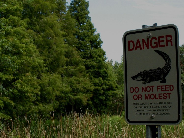 Sawgrass Lake Park 2010